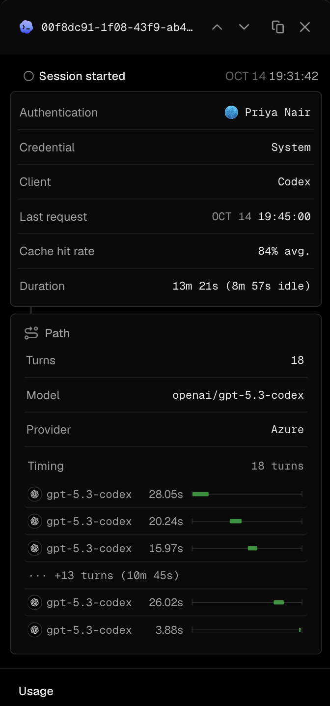 View individual sessions to see more detailed information on the requests and metrics.